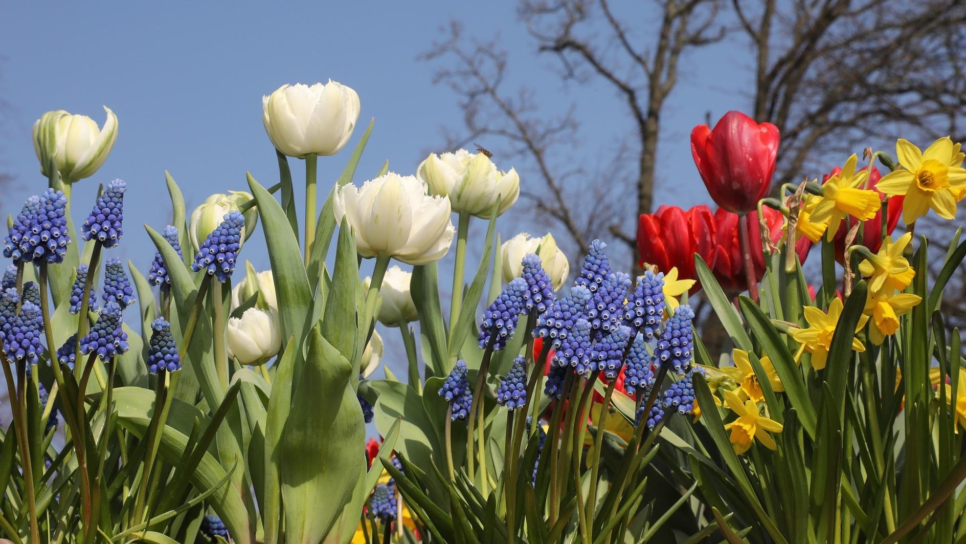 Frühling