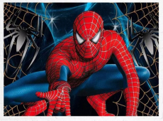 Spiderman Foto Hintergrund 120x80