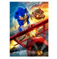 Sonic the hedgehog 2 Leinwandbild 21x30