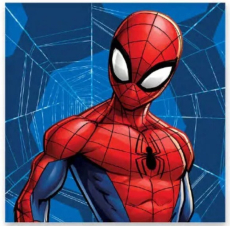 Spiderman Web Handtuch, Gesichtstuch, Handtuch 30x30cm