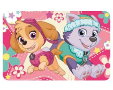 Paw Patrol Platzset 43x28