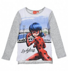 Langarmshirt Ladybug Grau Gr.104