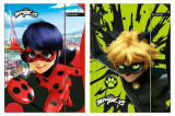 Miraculous Ladybug A4 Gummizugmappe Catnoir