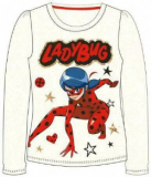 Langarmshirt Ladybug Gr. 122