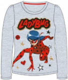 Langarmshirt Ladybug Gr.122